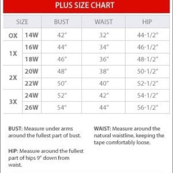 Karen Scott Pull On Comfort Waist Shorts 2X - Picture 3 of 3